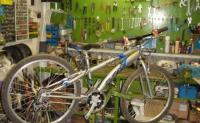 Imagine atasata: biciclete.jpg